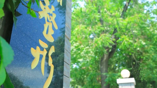 春運(yùn)返鄉(xiāng)路，健康“藥”備好